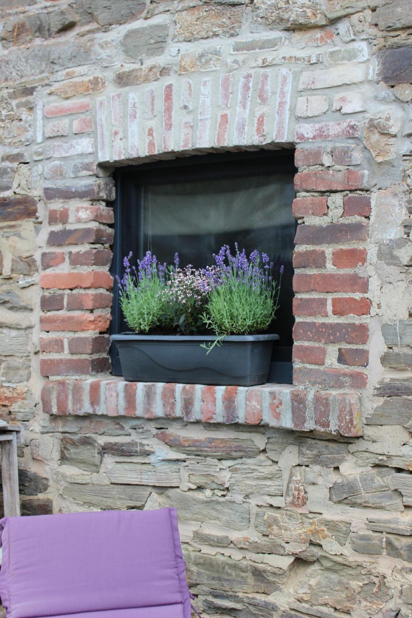 Thisa 4 Apartment Burg Reuland